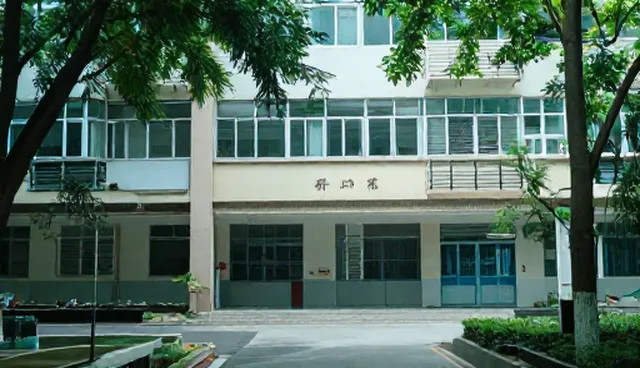 企业发展中如何精准进行市场调研？