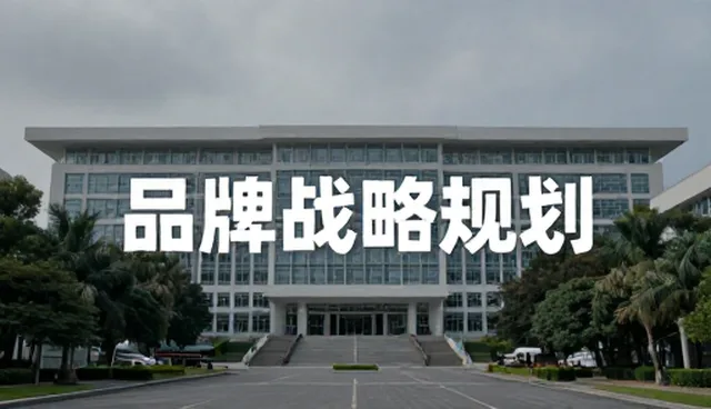 决策支持系统选型与使用建议